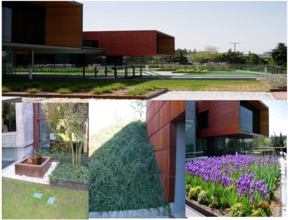 Jardín en Centro Empresarial en San Sebastián de Los Reyes (ESPAÑA)